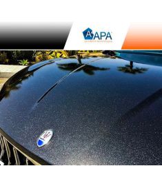 APA Sparkle